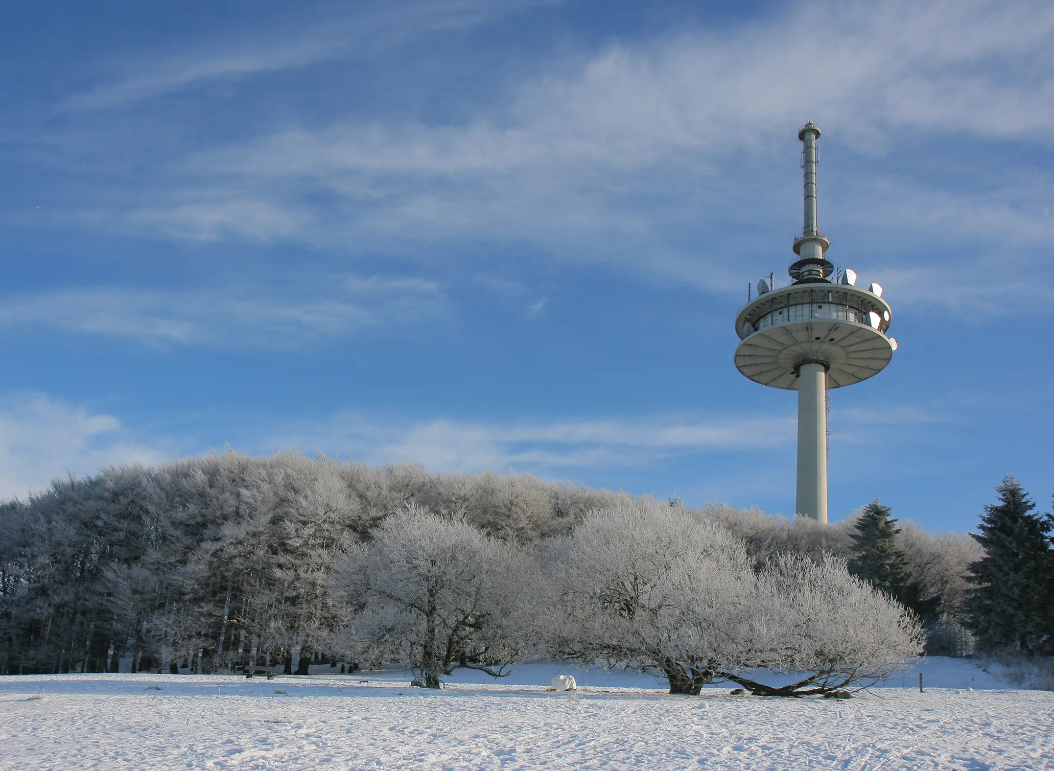 Fotografie eines winterlichen Landschaftsbilds mit schneebedecktem Boden und frostigen Bäumen vor einem blauen Himmel. Im Hintergrund ragt ein hoher, runder Fernsehturm mit Antennen hervor, der als markantes Bauwerk in der Szene dient.