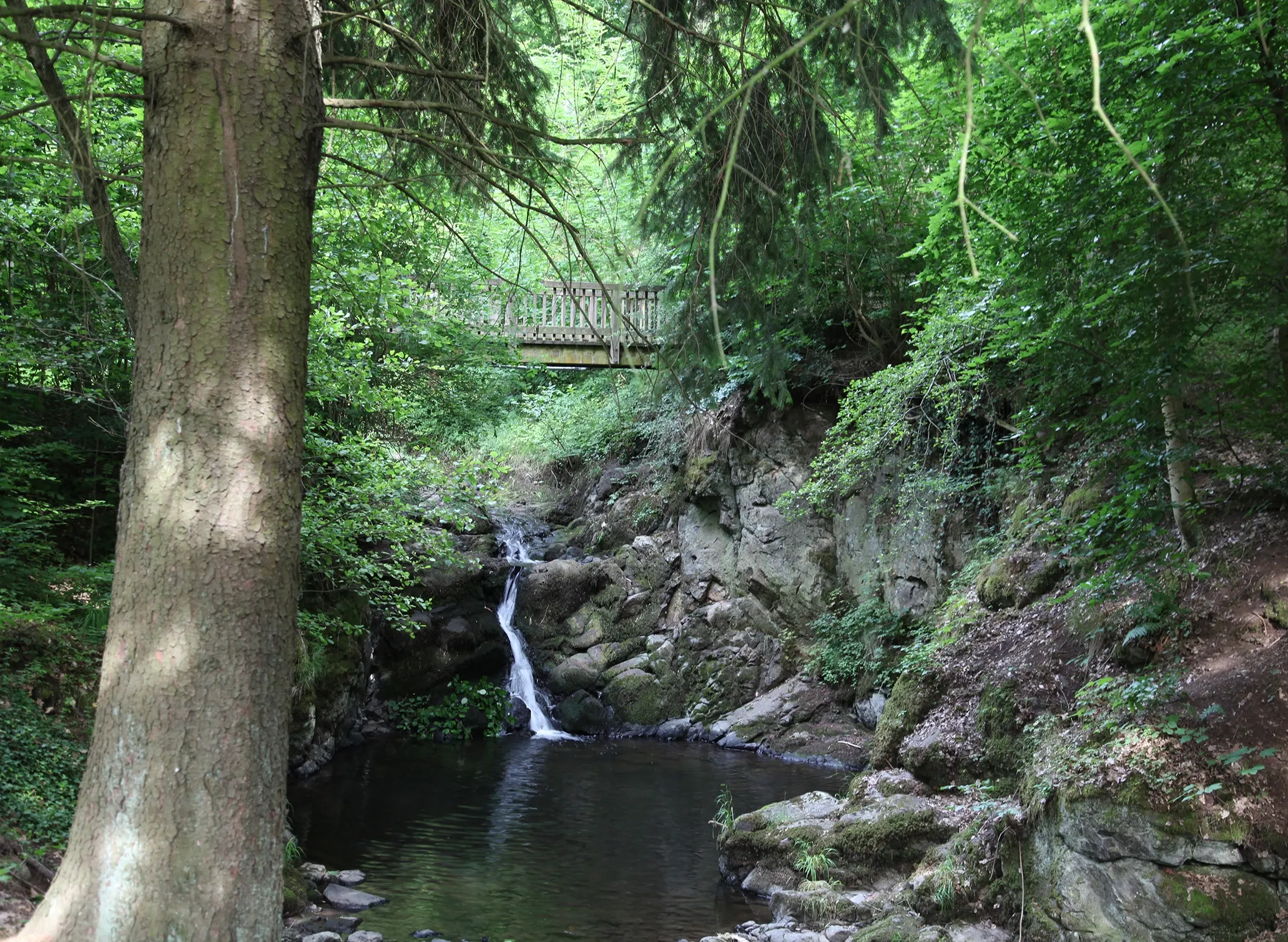 Fotografie eines kleinen Wasserfalls in einem bewaldeten Tal mit Felsen und einem Holzsteg im Hintergrund. Grünes Laub, moosbedeckte Steine und ruhiges Wasser prägen die natürliche, friedliche Landschaft.
