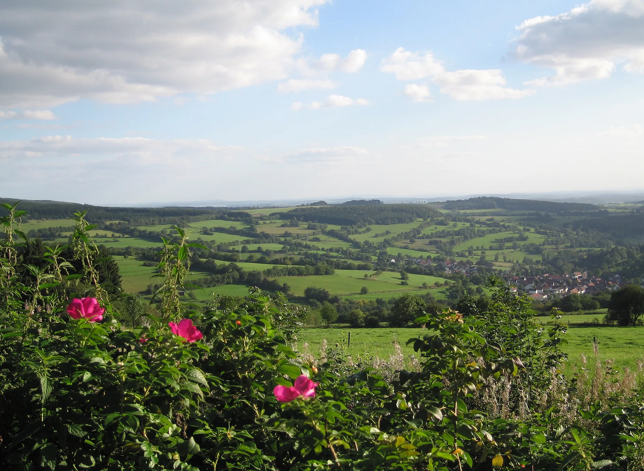 Fotografie einer weiten, grünen Landschaft mit Hügeln, Feldern und einem kleinen Dorf im Hintergrund unter blauem Himmel mit Wolken. Im Vordergrund blühende Sträucher mit rosa Blüten, die natürliche Schönheit und ländliche Idylle betonen.